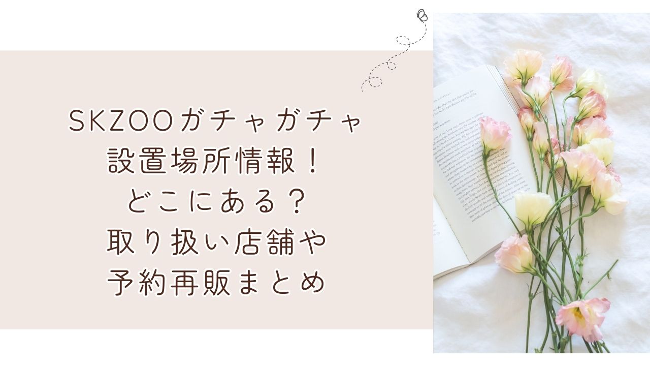 2025年6月SKZOOガチャガチャ設置場所情報！どこにある？取り扱い店舗や予約再販まとめ