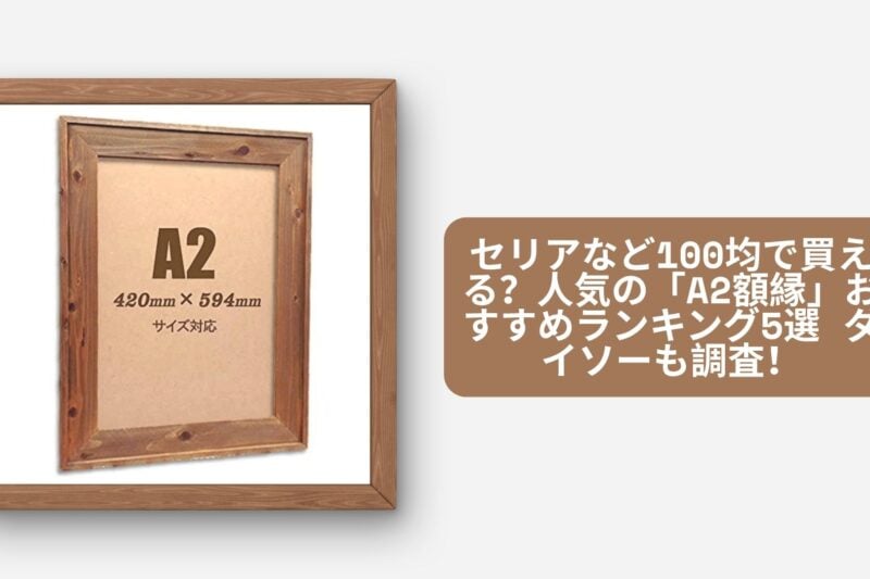 セリア 100均 A2額縁
