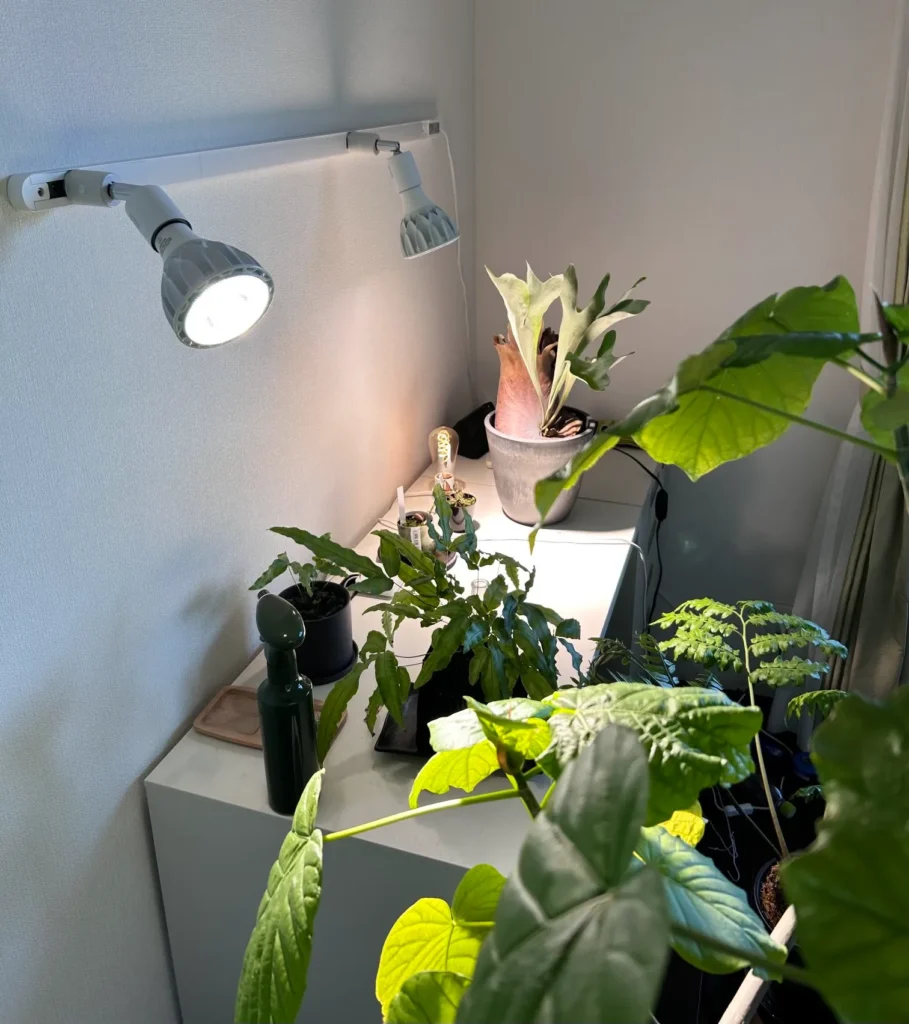 植物育成ライト ニトリ