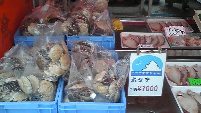 美瑛 観光名所 ケンとメリーの木