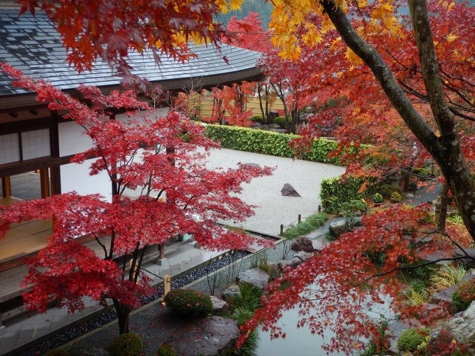 宝徳寺