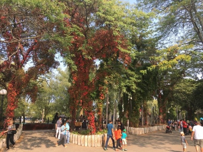 Toronto Island kids area