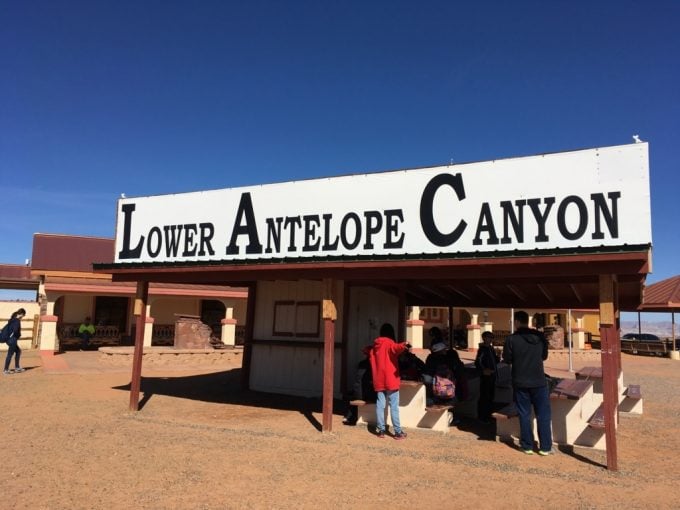 Antelope チケット