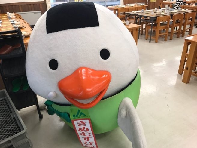 鳥取県 ゆるキャラ きぬむすび