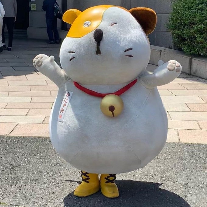 かにゃお