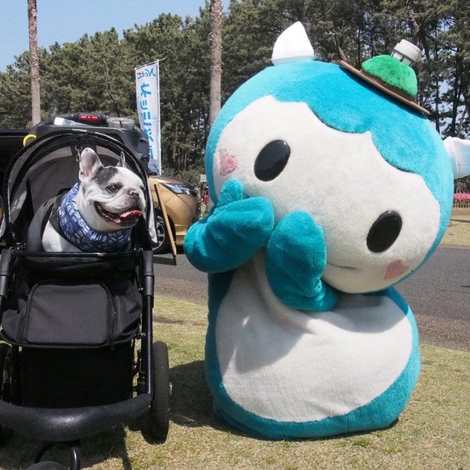 ふじキュン