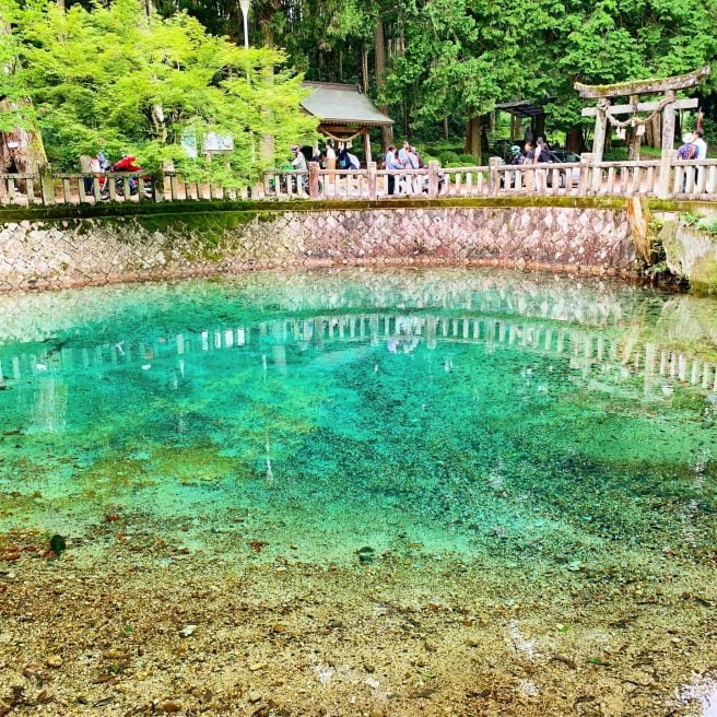 弁天池湧水