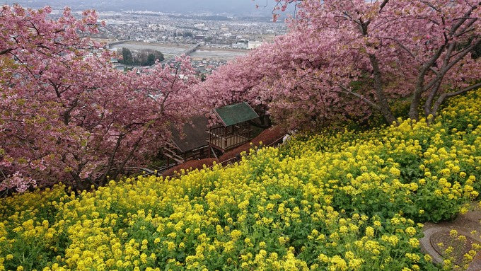 西平畑公園