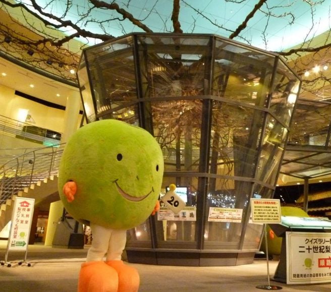 鳥取県 ゆるキャラ 鳥取県なっしー