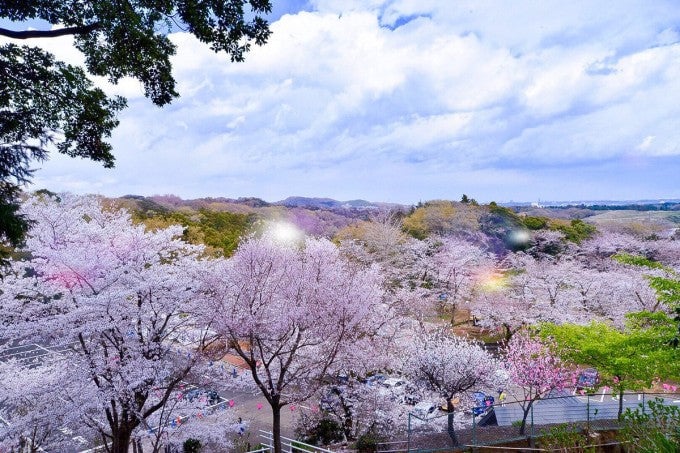 飯山白山森林公園