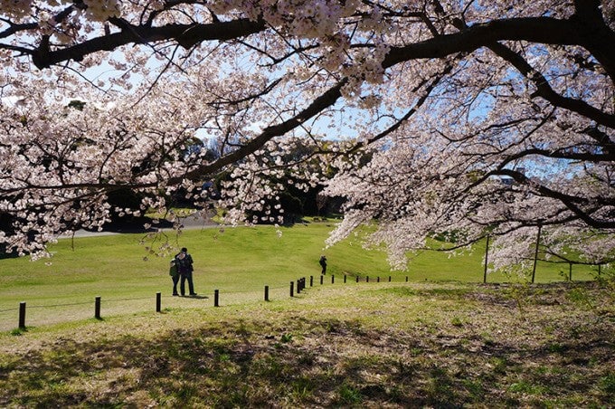 根岸森林公園