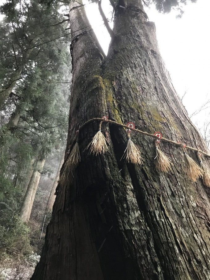 青玉神社 多可郡 パワースポット