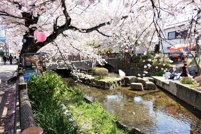 二ヶ領用水宿河原堀