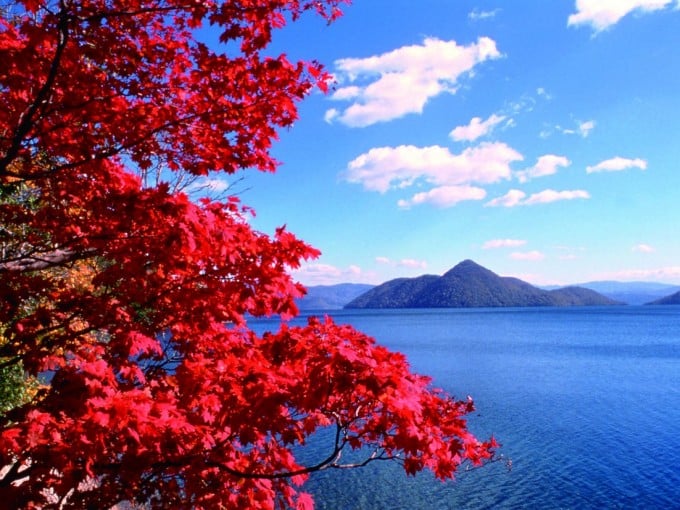 洞爺湖紅葉