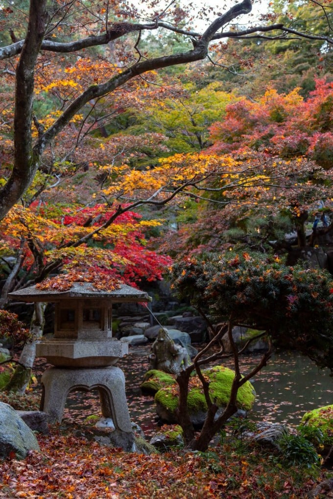 徳明園 紅葉