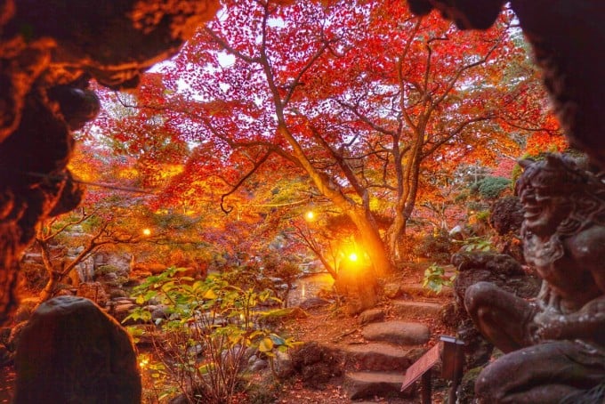 徳明園 紅葉
