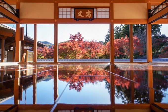 宝徳寺 紅葉