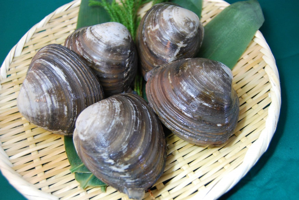 豊富町 ホッキチャウダー ホッキ貝