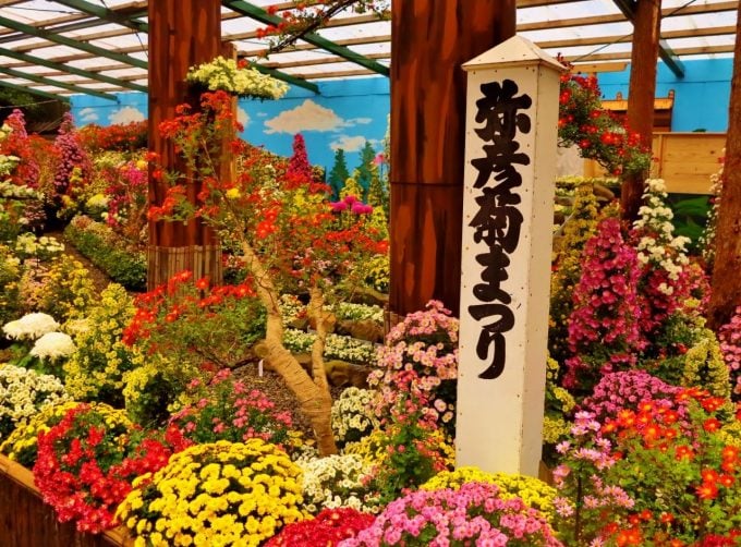 彌彦神社
