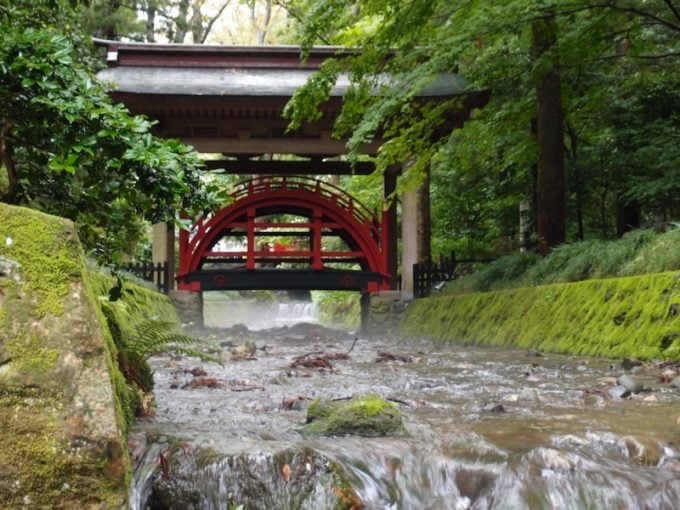 彌彦神社