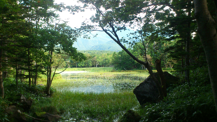 北海道 絶景 知床5湖