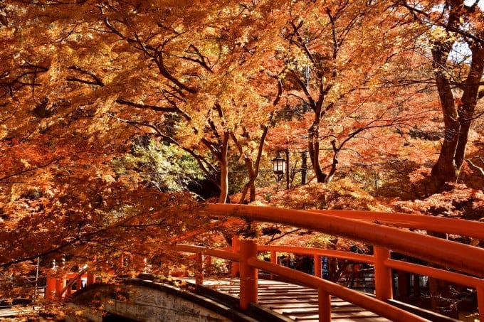 伊香保温泉 紅葉
