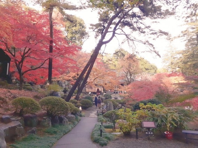 群馬 徳明園 紅葉
