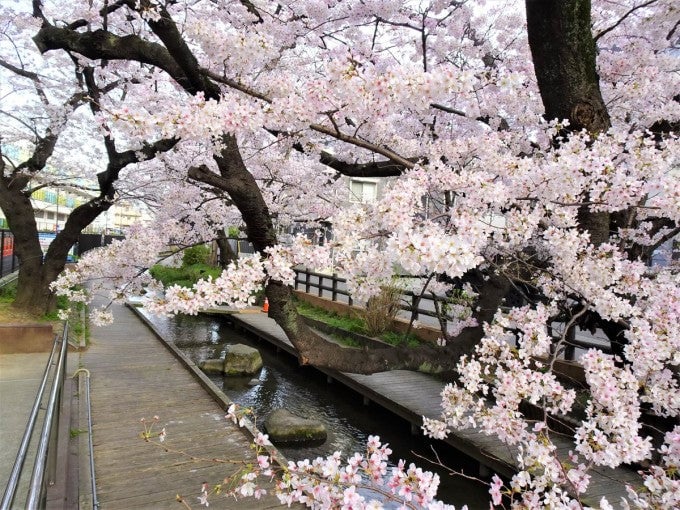 二ヶ領用水宿河原堀