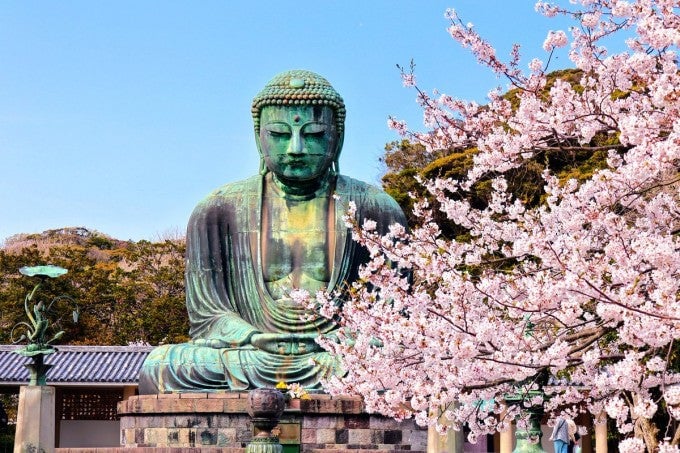 鎌倉大仏 桜