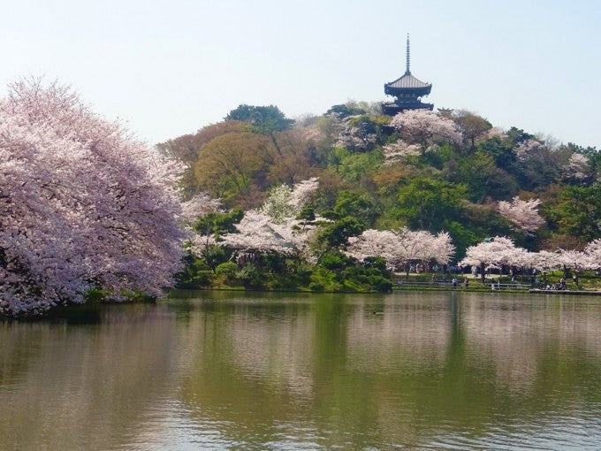 三溪園