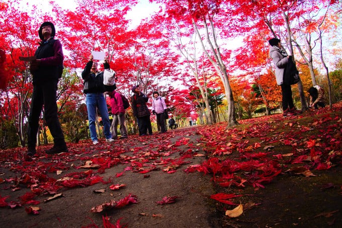 平岡樹芸センター