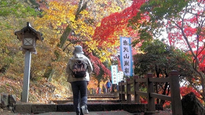 唐沢山神社2