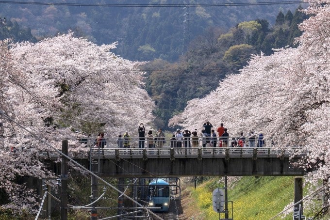 山北鉄道公園