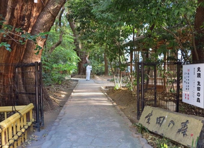 生田神社 生田の森 パワースポット