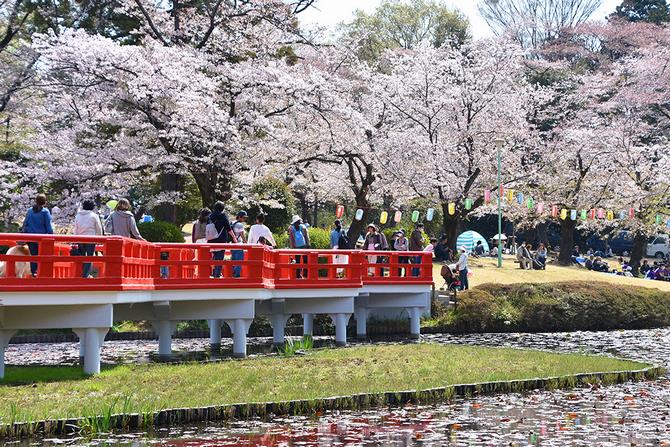 岩槻城址公園