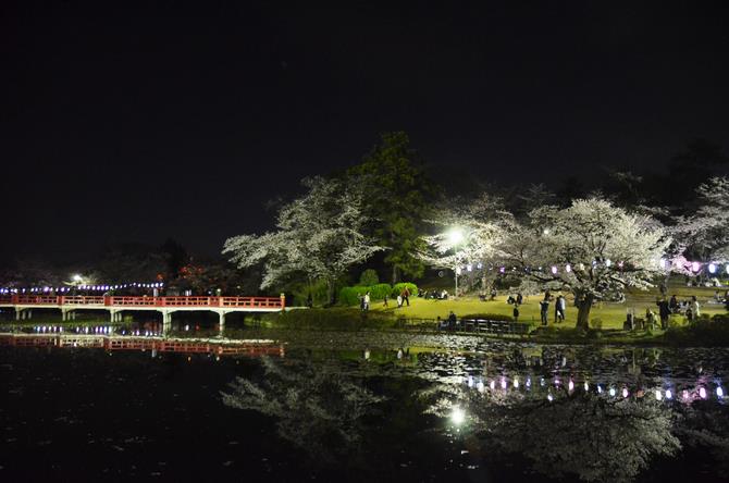 岩槻城址公園ライトアップ