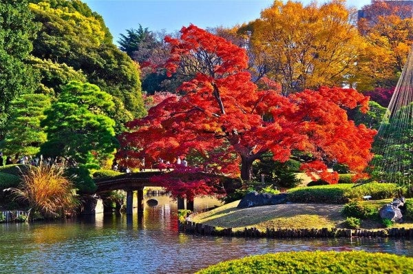 東京のちょっと変わったお勧めデートスポット