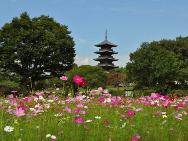岡山 観光名所 備中国分寺