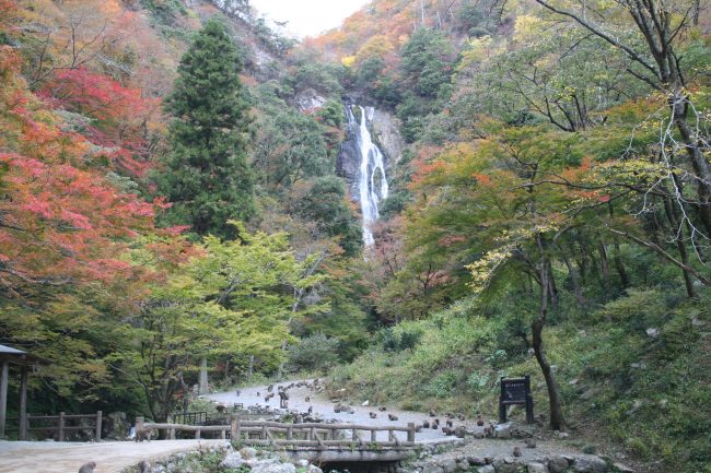岡山 観光名所 神庭の滝