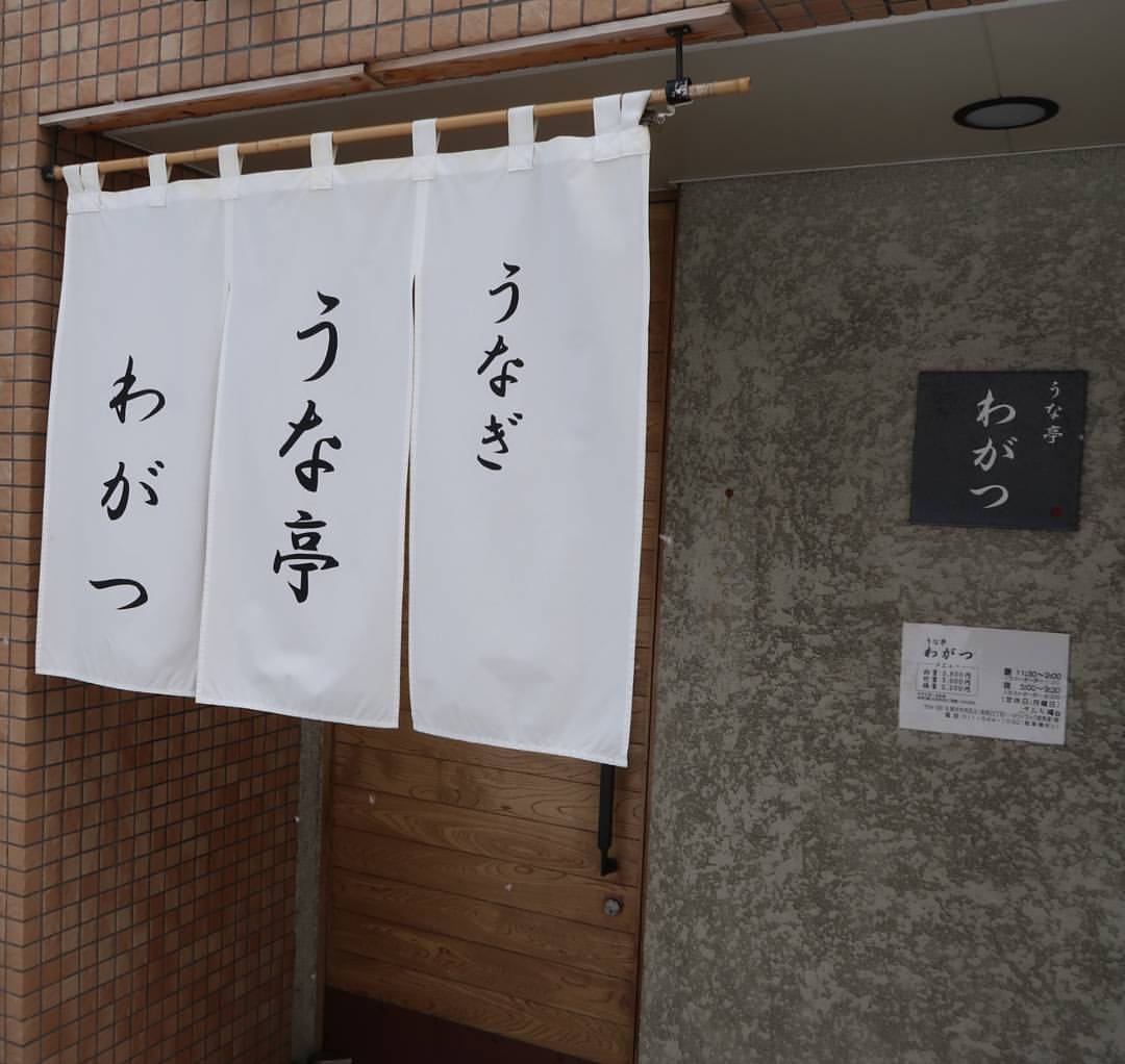 札幌 うなぎ うな亭わがつ