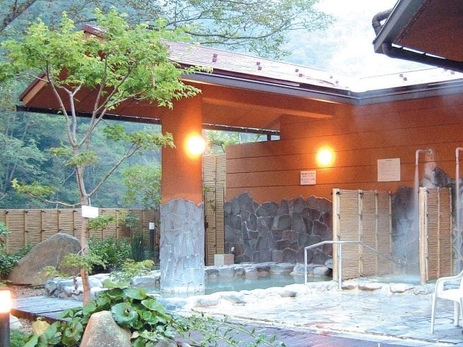 森の泉