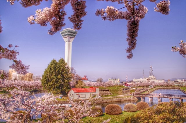 五稜郭公園