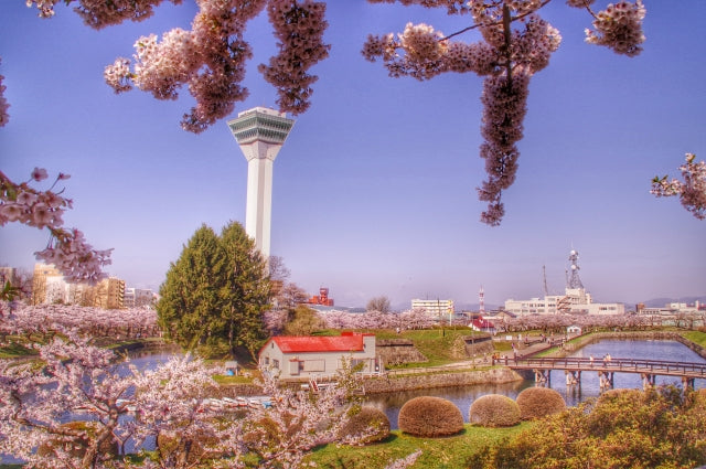 äºç¨é­å¬å