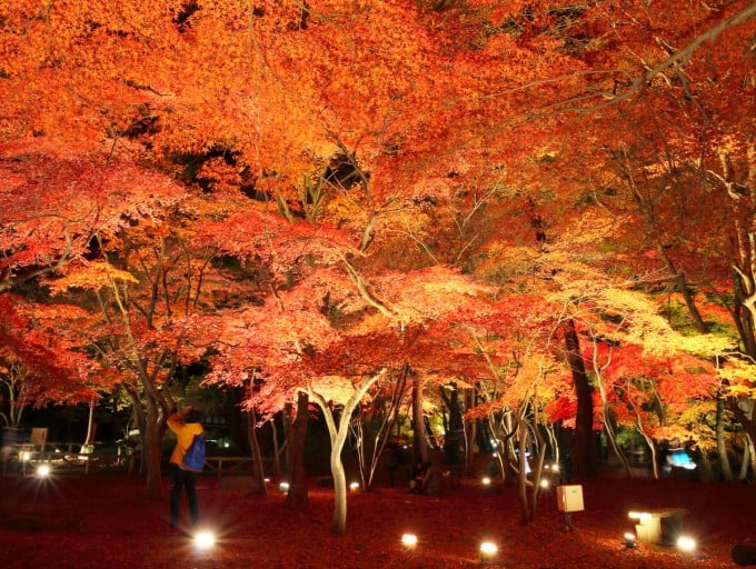 長瀞 紅葉