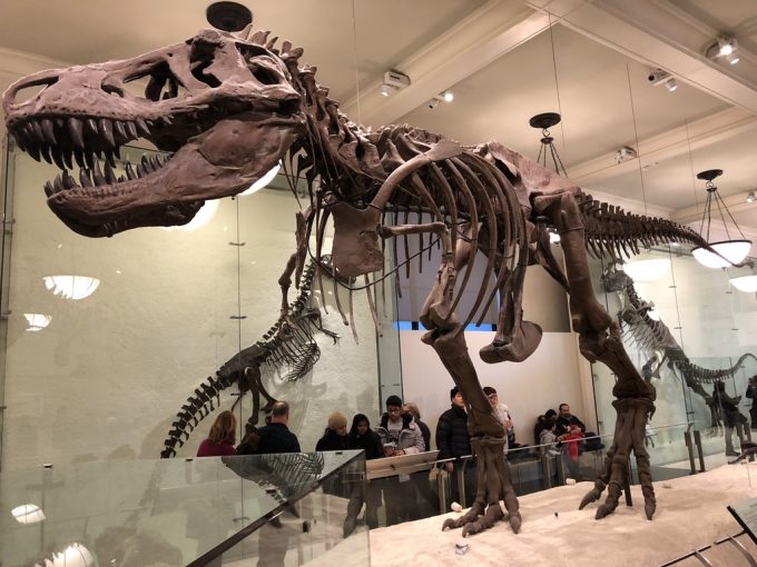 American Museum of Natural History