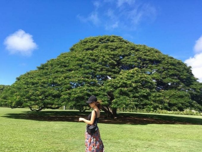 Moanalua Gardens
