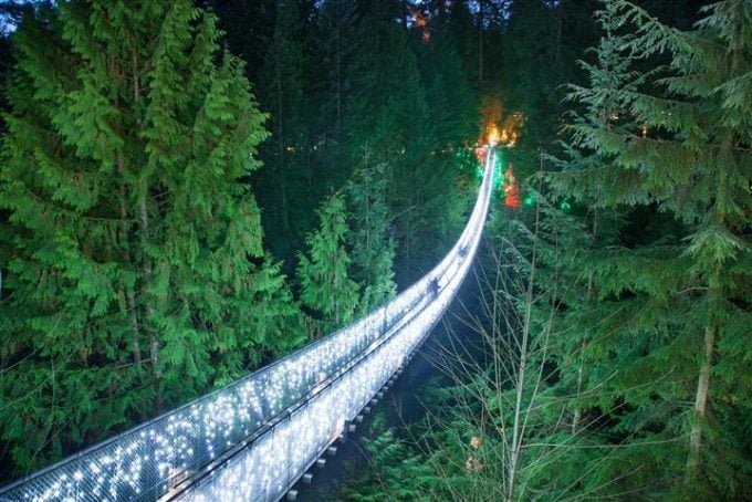 Capilano Suspention Bridge night