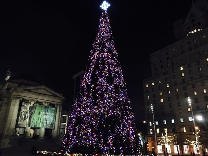 tree