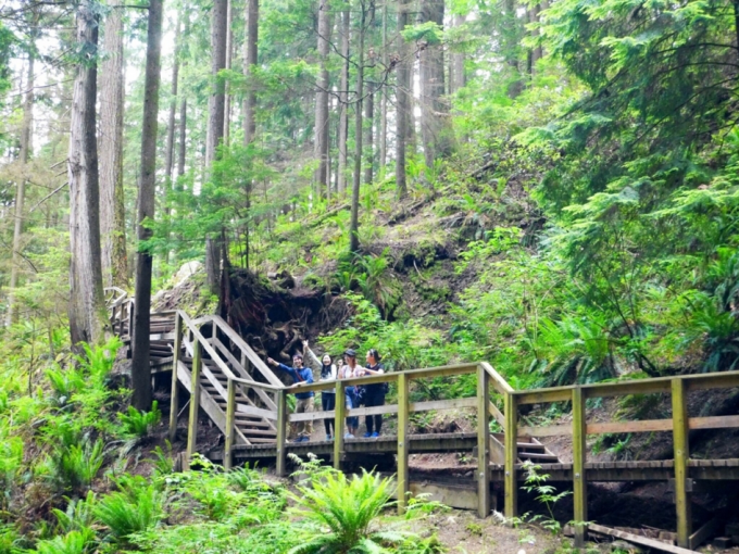 ディープコーブ Deep Cove
