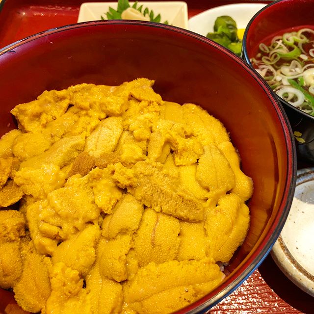 宮城 海鮮丼 あがらいん てんこ盛りウニ丼